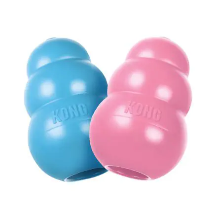 KONG Puppy Medium - Medium