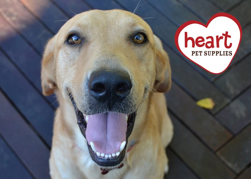 New and improved website Heart Pet Supplies Free Same Day Local Delivery
