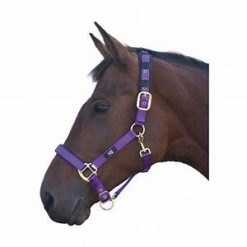 Alternative view of Hy Equestrian Duo Head Collar - Pony - Navy/Red