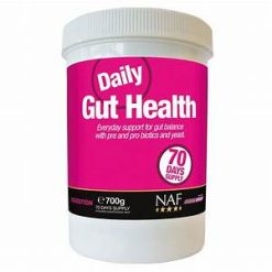 DAILY GUT HEALTH 700GM