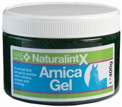 NATURALINTX ARNICA GEL 400G