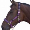 Hy Equestrian Duo Head Collar-Purple/Black
