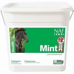 MINT 500G