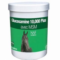 GLUCOSAMINE 10,000 PLUS WITH MSM 4.5KG