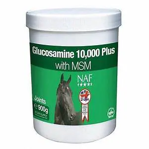 GLUCOSAMINE 12,000 + MSM 0.900KG