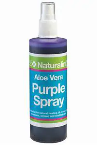 NATURALINTX  PURPLE SPRAY 240ML