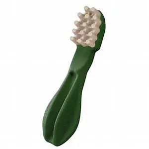 Whimzees Toothbrush Star Large 150mm