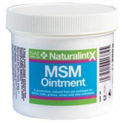 NATURALINTX MSM OINTMENT 250G