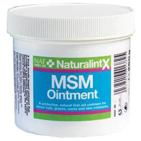 NATURALINTX MSM OINTMENT 250G