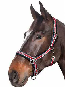Hy Equestrian Duo Head Collar - Pony - Navy/Red