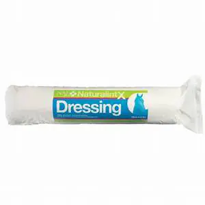 NATURALINTX DRESSING 500G