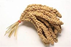 Millet Spray Bundle 250g