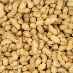 Peanuts In Shell 12.5kg