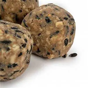 Fat Balls x 6