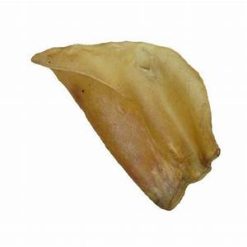 Cow Ear Single