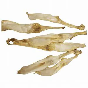 Rabbit Ear Without Fur