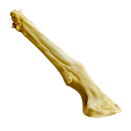 Goat Feet