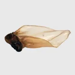 Buffalo Ear & Meat Large Single