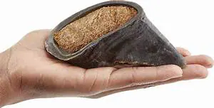 Single Hoof FILLING