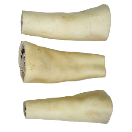 Jumbo Beef Tails
