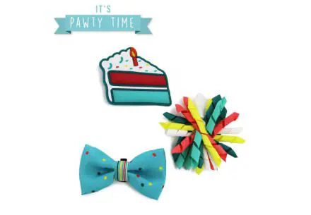 It's My Birthday Collar Accessories Blue