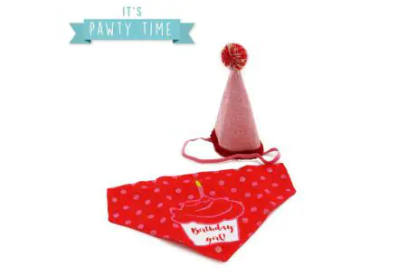 Its My Birthday Hat & Bandana Pink