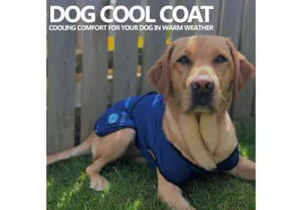 DOG COOLING COAT S