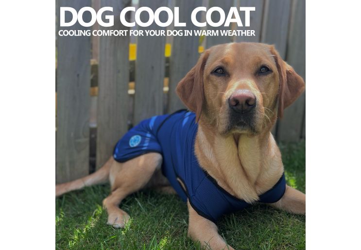 Ancol online cooling vest