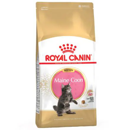 Royal Canin Maine Coon Kitten 10kg