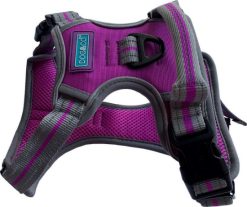 H&B sports reflective harness small purple