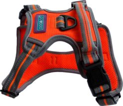 H&B sports reflective harness  X small orange