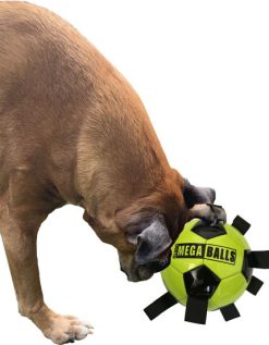 Puppy supplies near deals me