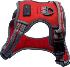 H&B sports reflective harness small Red