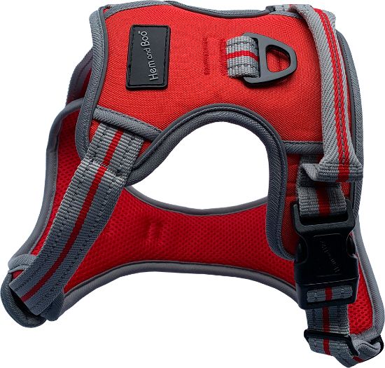 H&B sports harness large Red