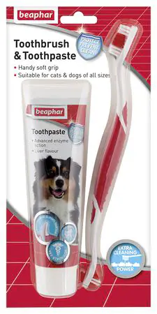 Dental Kit (paste & brush) 100g