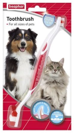 Toothbrush (for all sizes of dogs & cats)