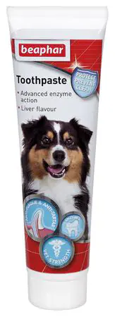 Toothpaste  100g
