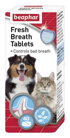 Fresh Breath Tablets  40 tab