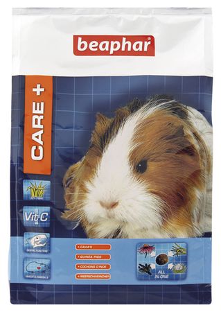 Guinea sales pig protein