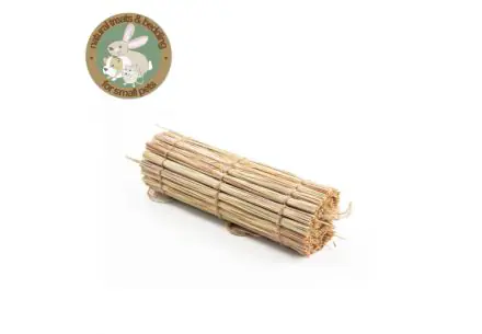 3-in-1 Grassy Small Animal Accessory