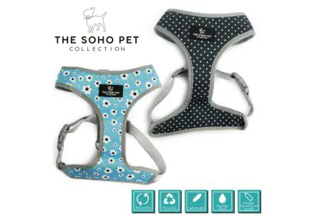 Daisy / Polka Dot Patterned Harness XS