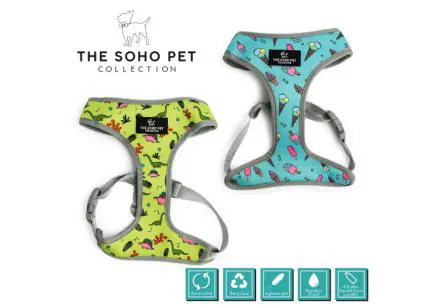 Dino / Ice Cream Patterned Harness S