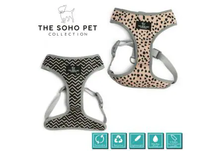 Dalmatian / Zigzag Patterned Harness L