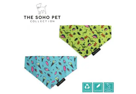 Dino / Ice Cream Patterned Bandana