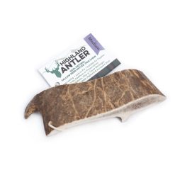 Antos Antler Fallow Medium sgl