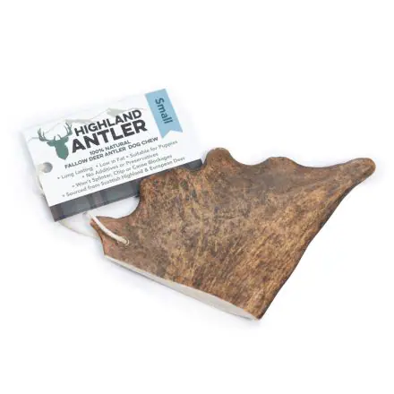 Antos Antler Fallow Small sgl