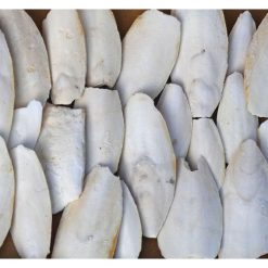 SkyGold Finest Cuttlefish 1Kg