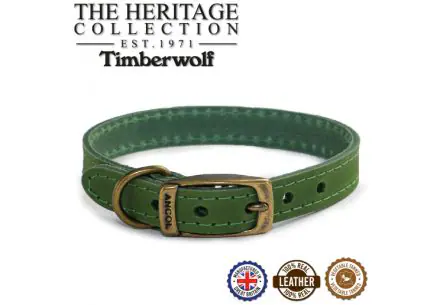 Timberwolf Leather Collar Green 50-59cm Size 7