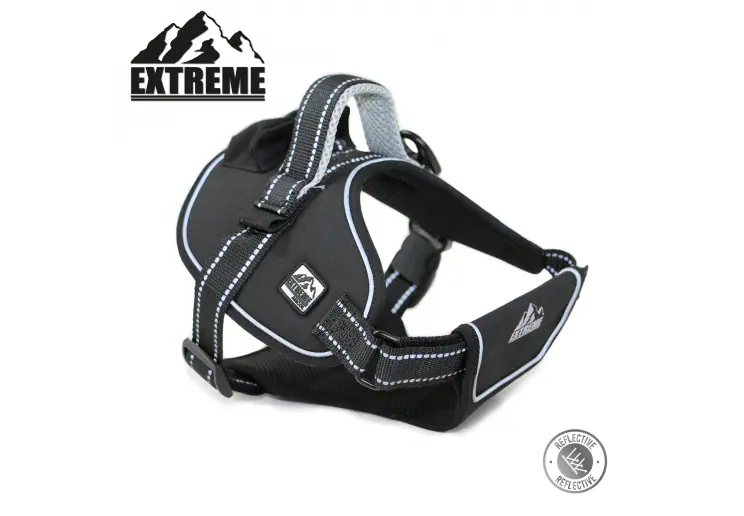 Extreme Harness Black S