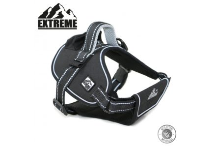 Extreme Harness Black L